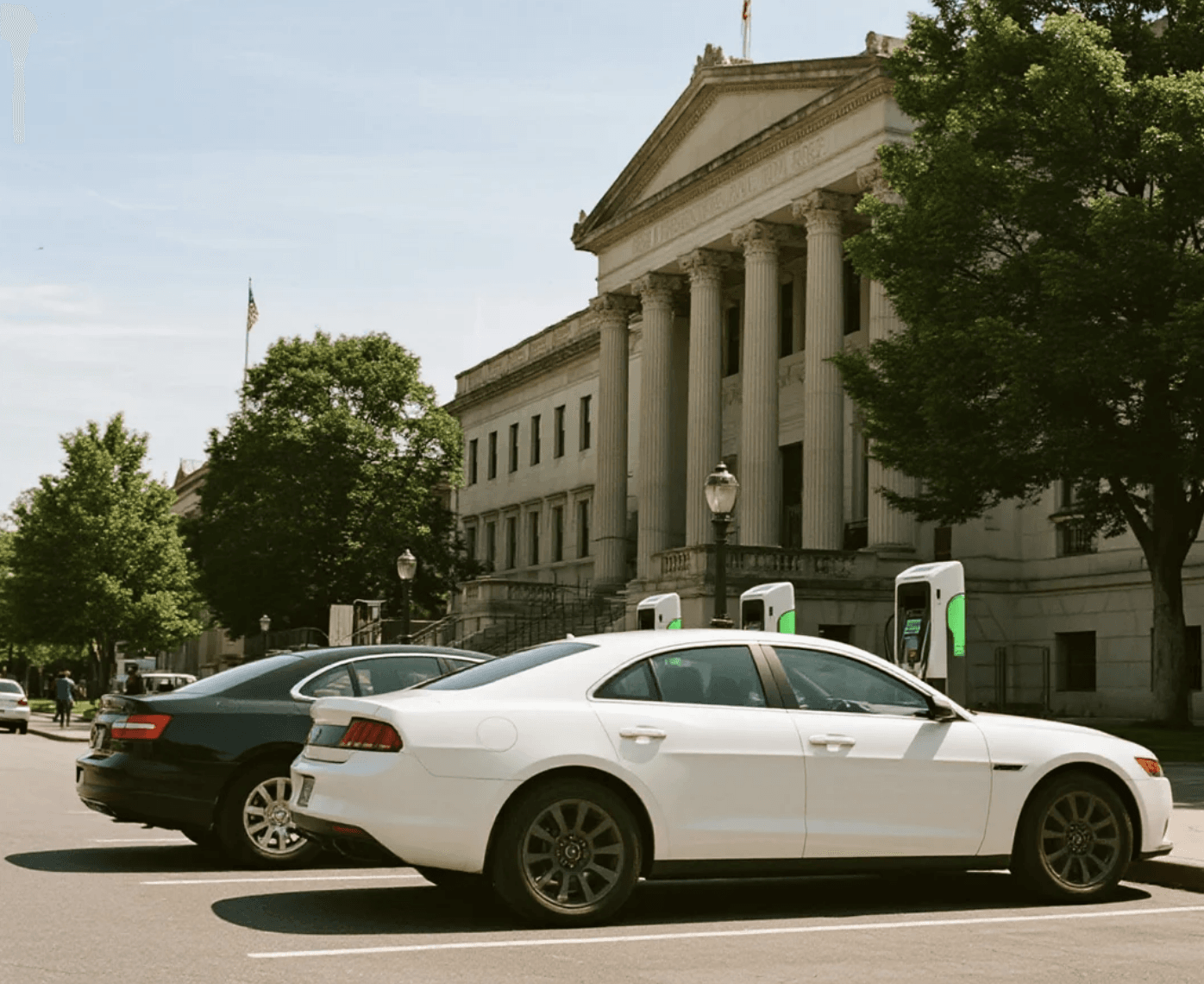 Government / Organization